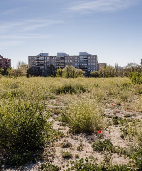 Los terrenos de la antigua cárcel de Carabanchel pasan a manos del Ministerio de Vivienda