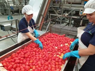 La economía de Extremadura ralentizará su crecimiento hasta el 1,4% en 2026