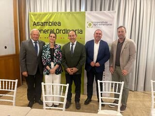 Junta prevé ayudas de hasta 15.000 euros para invertir en modernización de cooperativas