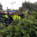 Herida grave una mujer en Madrid por la caída de un árbol