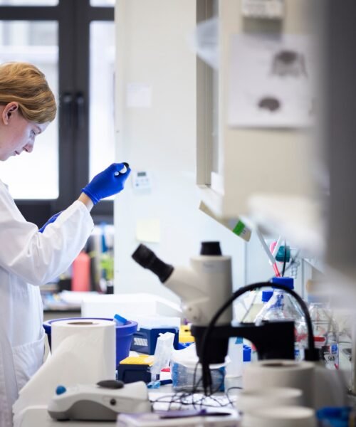 Un dispositivo que mide la consistencia del cuello uterino y un robot terapeuta, entre los proyectos impulsados por La Caixa