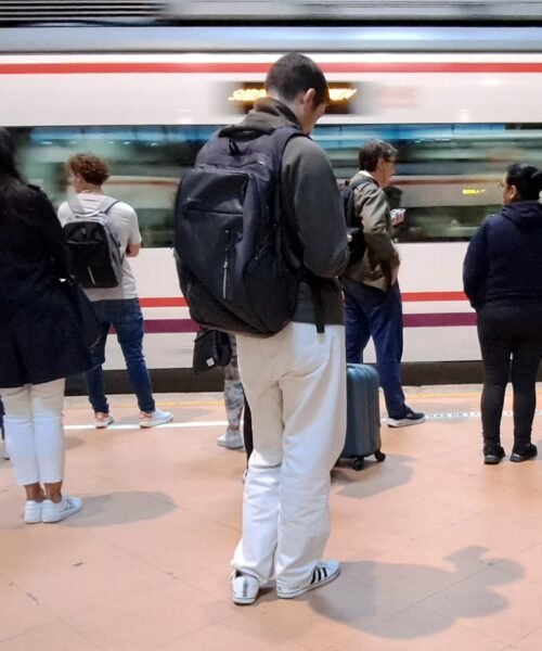 La caída de un árbol sobre la vía entre Atocha y Vallecas provoca retrasos en hora punta en Cercanías