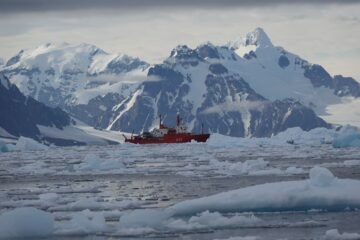 La UB analiza el impacto de los microplásticos en pingüinos, focas y lobos marinos de la Antártida