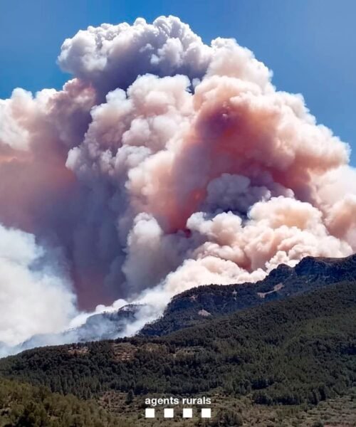 El incendio de Tarragona alcanza las 1.500 hectáreas y la Generalitat pide la colaboración de la UME