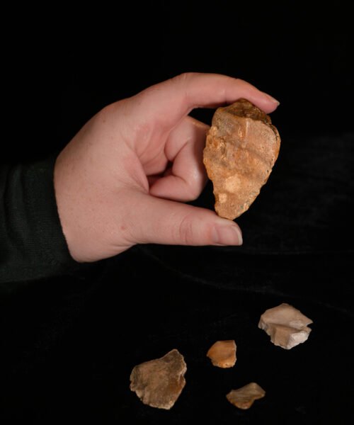 Los misteriosos navegantes prehistóricos que surcaron el océano hace más de un millón de años