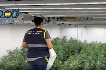 Golpe al narcotráfico en Málaga: marihuana entre palés de pienso animal y dinero escondido en el congelador