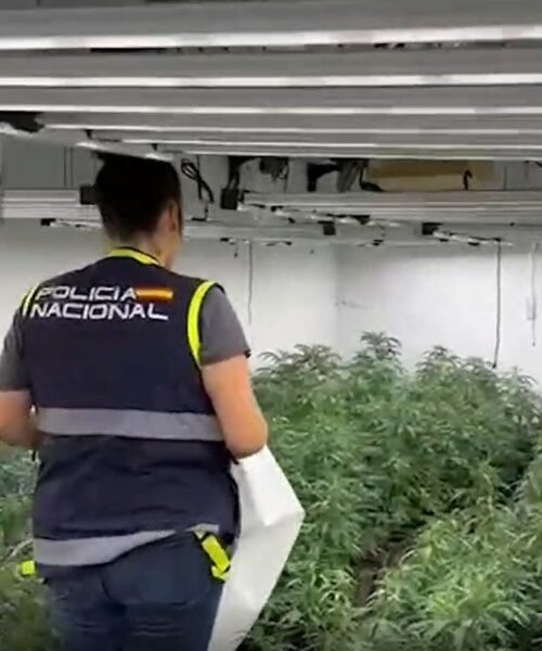 Golpe al narcotráfico en Málaga: marihuana entre palés de pienso animal y dinero escondido en el congelador
