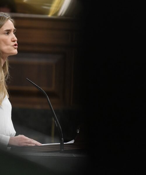 El Gobierno trocea el decreto antiapagón para colar algunas medidas ya en agosto