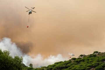 Desalojados “en tiempo récord” varios ‘campings’, hoteles y chiringuitos por un incendio en Tarifa