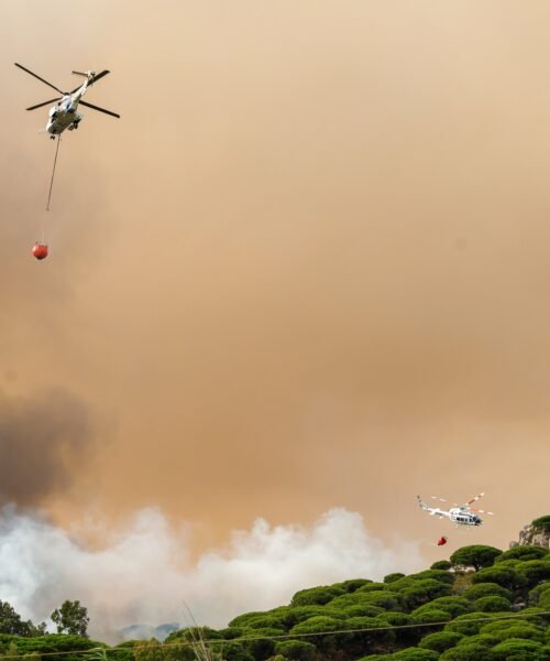 Desalojados “en tiempo récord” varios ‘campings’, hoteles y chiringuitos por un incendio en Tarifa