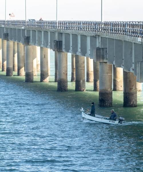 Cádiz vuelve a enredarse en un cambio de nombre: el puente del franquista Carranza por el poeta Alberti