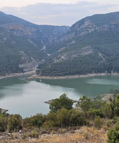 La presa de Buseo de la Generalitat que se desbordó en la dana: “Hasta que no ha habido muertos, no se le ha hecho caso”