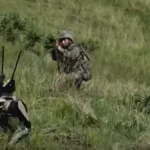 Lo último de China: lobos robots armados