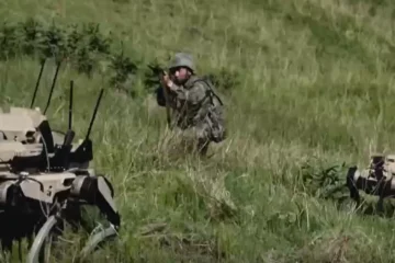 Lo último de China: lobos robots armados