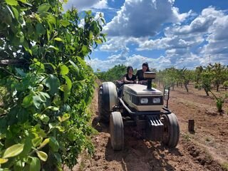 La Junta concederá préstamos garantizados de hasta 600.000 euros a jóvenes agricultores
