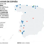 Radiografía de la gripe aviar en España: estos son los focos activos de un brote que alerta a los expertos por ser «difícil de controlar»
