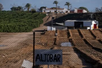 El Gobierno da el primer paso para permitir regar a la Casa de Alba pese al robo masivo de agua junto a Doñana