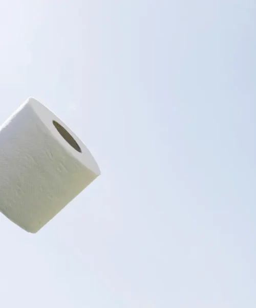 ¿Qué usaban en el pasado cuando no había papel higiénico?