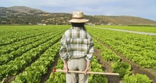 Bruselas pide a capitales destinar 6% de gasto agrícola al relevo generacional en el campo