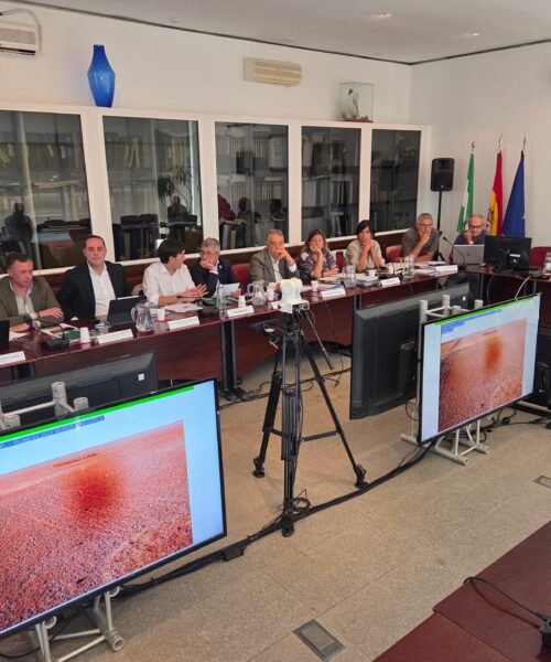 El deslinde de la marisma aprobado por el Gobierno abre otra guerra en Doñana