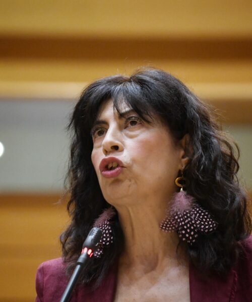 El PP arremete de nuevo contra la ministra de Igualdad y reclama en el Congreso una auditoría sobre las pulseras antimaltrato
