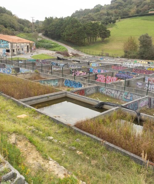 San Sebastián transformará una piscifactoría en ruinas en un vivero para el cultivo de algas marinas
