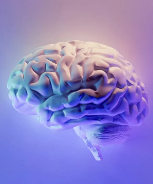 Esta es la edad en la que el cerebro humano alcanza su máximo rendimiento
