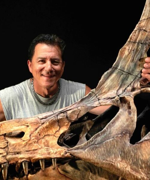 Descubren en el Sáhara un nuevo Spinosaurus y reescriben su vida muy lejos del mar