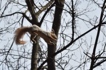 Con inocencia y curiosidad