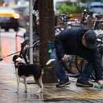 Collboni advierte de que la ordenanza de civismo se hará cumplir: “Solo los sinvergüenzas pueden estar preocupados”