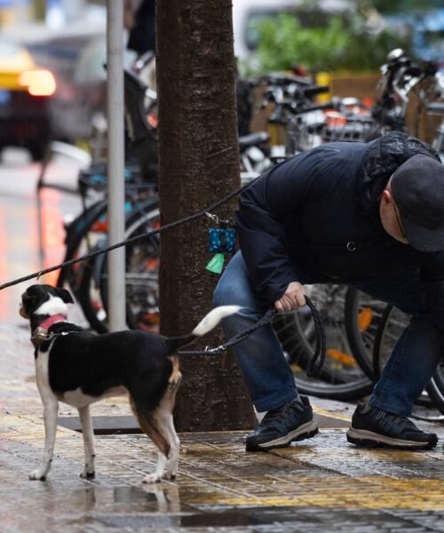 Collboni advierte de que la ordenanza de civismo se hará cumplir: “Solo los sinvergüenzas pueden estar preocupados”