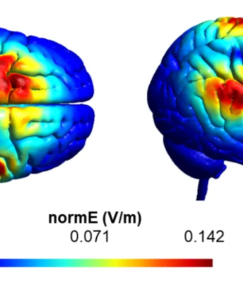 Hackean el cerebro para hacernos más generosos