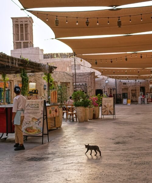 No solo las baterías antiaéreas protegen las costas árabes del Golfo