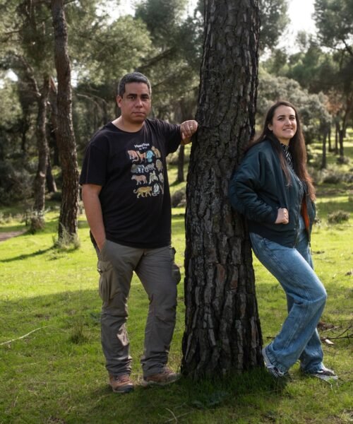 Hagan caso a los murciélagos en Madrid: son “fascinantes” y controlan las plagas