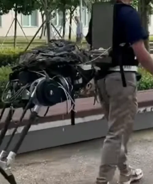 Un nuevo avance de China permitiría crear un ejército de centauros