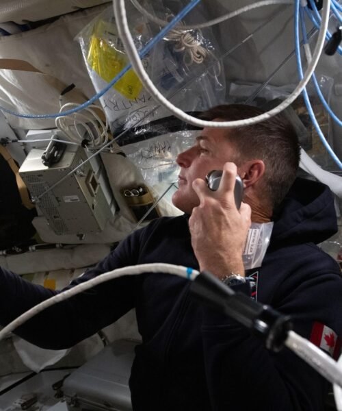 Artemis 2: ¿Podría el ‘Homo sapiens’ evolucionar hacia una nueva especie?