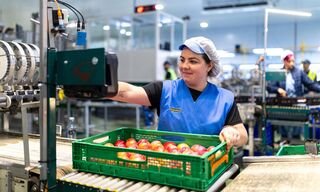 Las compras de Mercadona a proveedores extremeños superaron los 580M€ en 2025