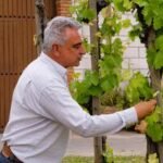 Tradición e innovación se fusionan de la mano de Juan Leandro Romero, un artesano del vino