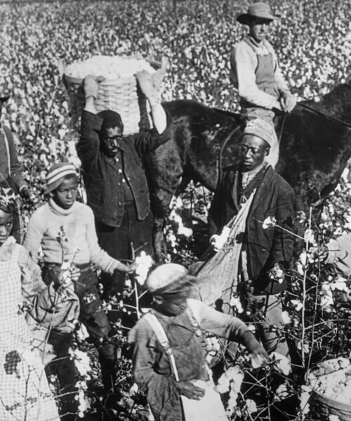 Jake Richards, historiador: “Durante la abolición se crearon nuevas formas de desigualdad e injusticia y necesitamos resolver cómo lo reparamos”