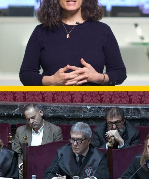 Dinero en efectivo guardado en casa y la devolución de los gastos del PSOE: la expareja de Koldo protagoniza la cuarta jornada por el ‘caso mascarillas’