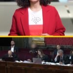 El esperado testimonio del CEO de Globalia: defiende la legalidad del rescate y rebaja el papel de Aldama