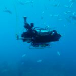 Estados Unidos crea un robot submarino que encuentra vida siguiendo sonidos en los arrecifes
