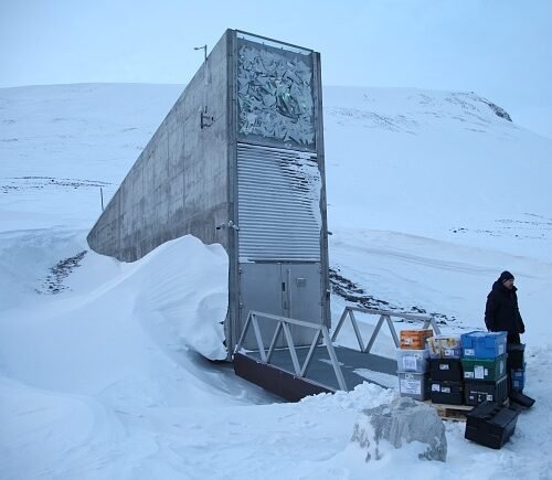La Bóveda de Semillas construida en Svalbard para garantizar el suministro de alimentos gana el Premio Princesa de Asturias de Cooperación Internacional