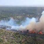 Un centenar de bomberos forestales acotan el incendio declarado este domingo en Doñana