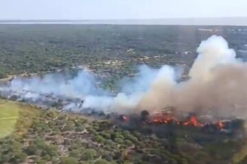 Un centenar de bomberos forestales acotan el incendio declarado este domingo en Doñana