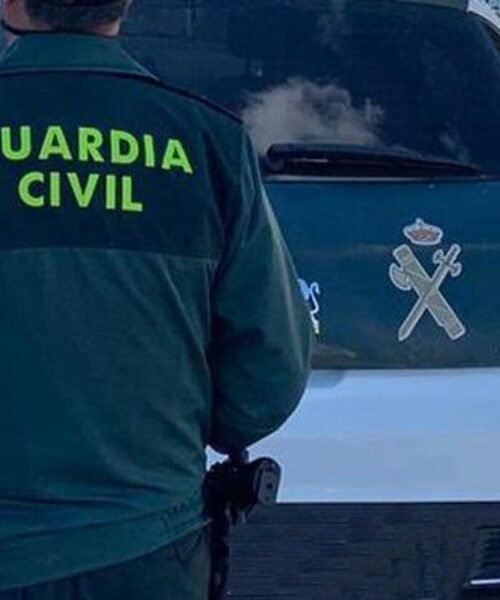 Detenido en Loja, Granada, el presunto autor de la muerte violenta de una mujer de 79 años