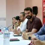 PSOE critica que Junta suprima gratuidad vacunas contra lengua azul al inicio de campaña