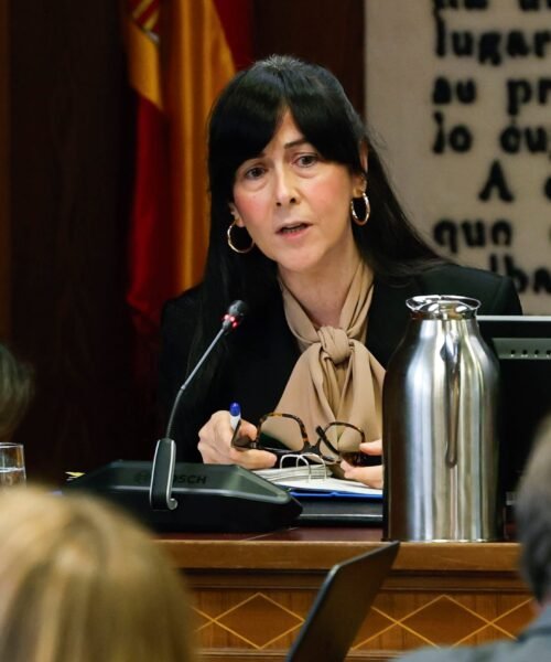 El juez Pedraz imputa a la presidenta de la SEPI en el ‘caso Leire’