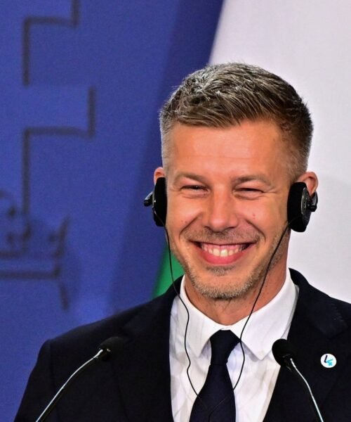 Magyar lanza la Operación Fuego Purificador, su ofensiva contra el sistema de poder de Orbán
