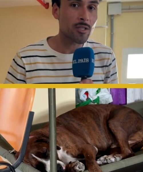 Los desalojados con mascota en Villamanta: “Lo primero que hice fue coger a mi perro”
